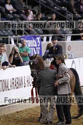 Proof Number 10usn_29077