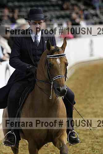 Proof Number 10usn_29135