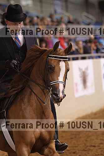 Proof Number 10usn_16299