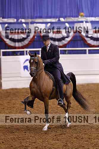 Proof Number 10usn_16302