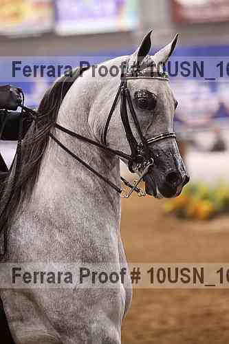 Proof Number 10usn_16336