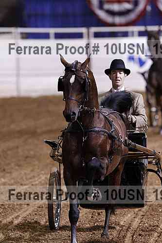 Proof Number 10usn_19776
