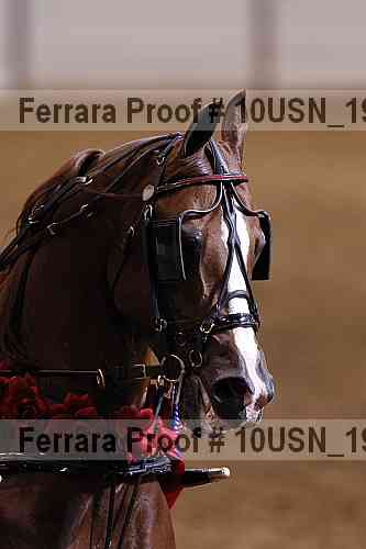 Proof Number 10usn_19864