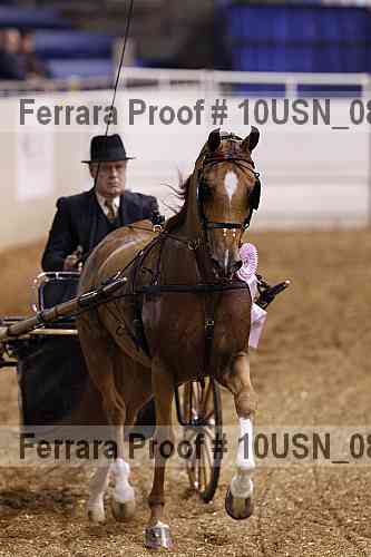 Proof Number 10usn_08334