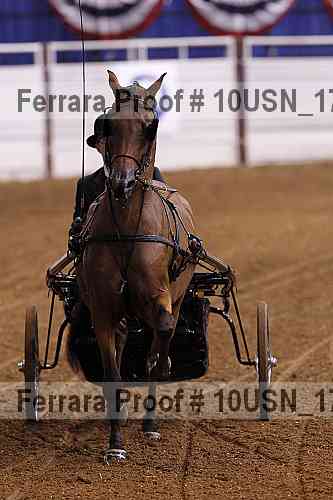 Proof Number 10usn_17084