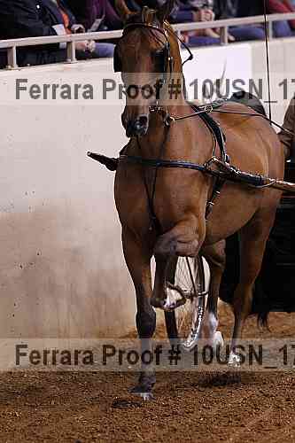 Proof Number 10usn_17088
