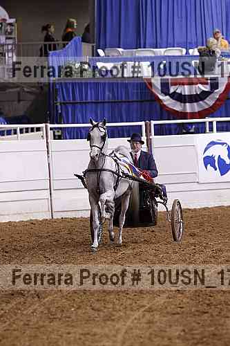 Proof Number 10usn_17190