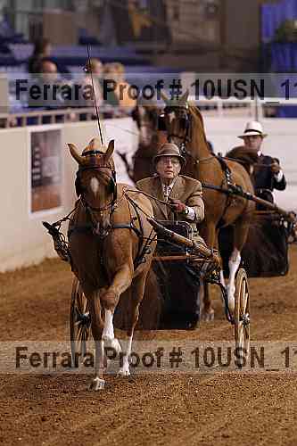 Proof Number 10usn_11365