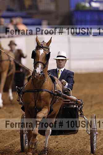 Proof Number 10usn_11382