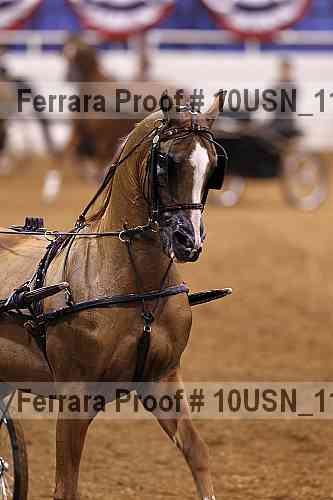 Proof Number 10usn_11390
