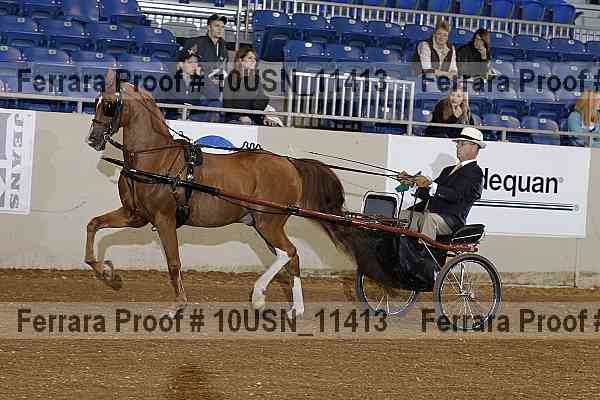 Proof Number 10usn_11413