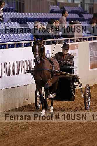 Proof Number 10usn_11426