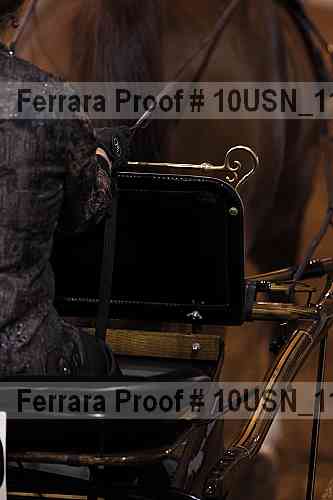 Proof Number 10usn_11434