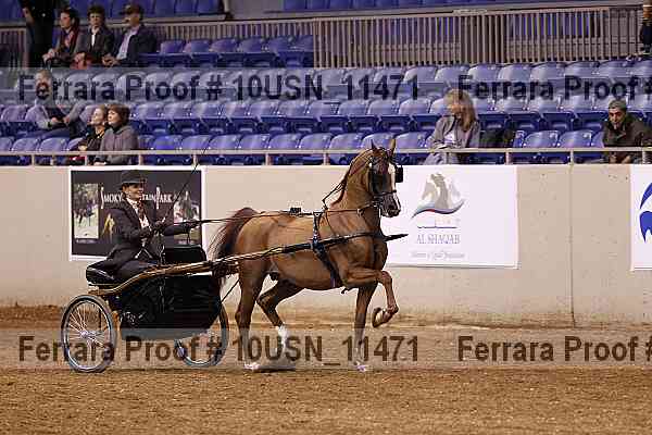 Proof Number 10usn_11471