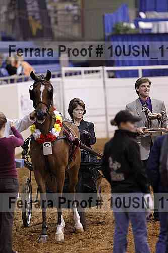 Proof Number 10usn_11484