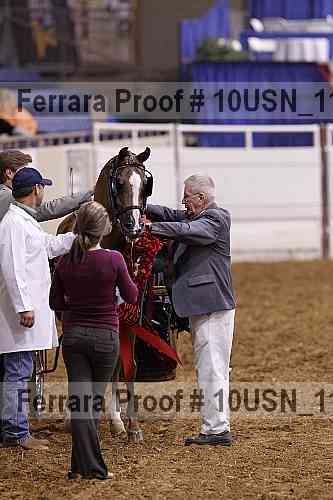 Proof Number 10usn_11499