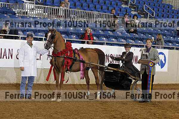 Proof Number 10usn_11504
