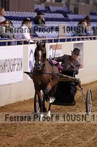 Proof Number 10usn_11545