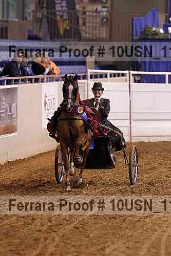 Proof Number 10usn_11570