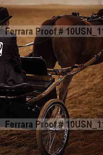 Proof Number 10usn_11856