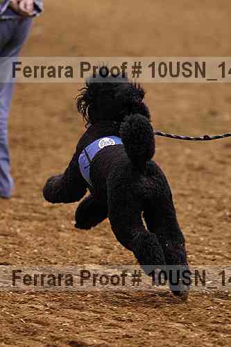 Proof Number 10usn_14724