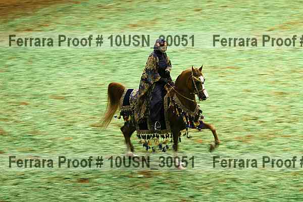 Proof Number 10usn_30051