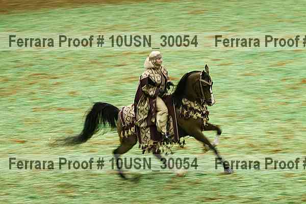 Proof Number 10usn_30054