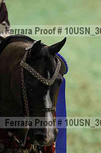 Proof Number 10usn_30122
