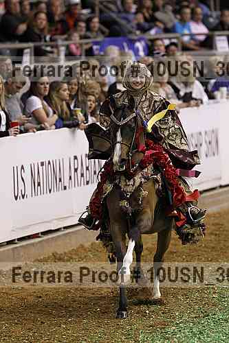 Proof Number 10usn_30206