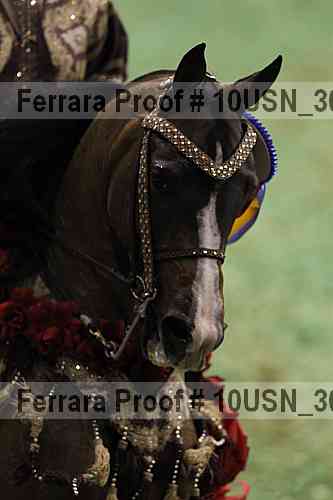 Proof Number 10usn_30214