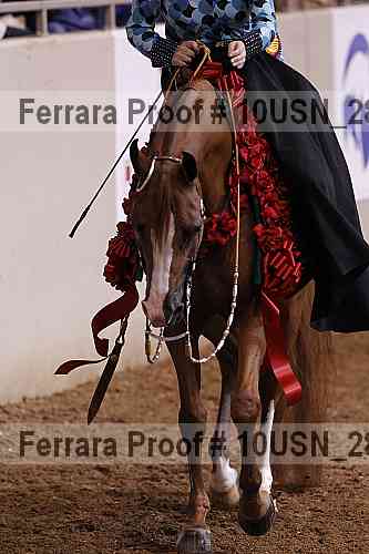 Proof Number 10usn_28028
