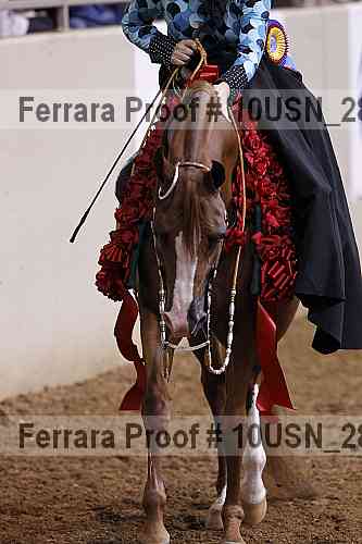 Proof Number 10usn_28029