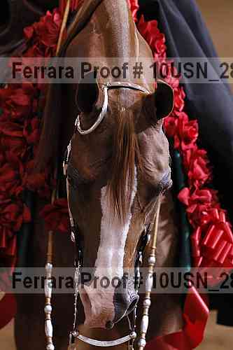 Proof Number 10usn_28035