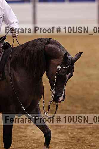 Proof Number 10usn_08719