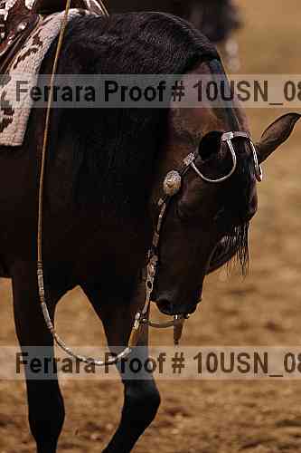 Proof Number 10usn_08730
