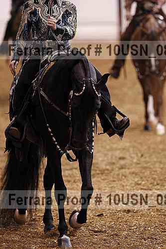 Proof Number 10usn_08738
