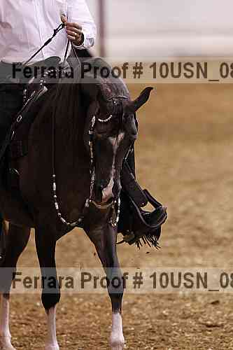 Proof Number 10usn_08753