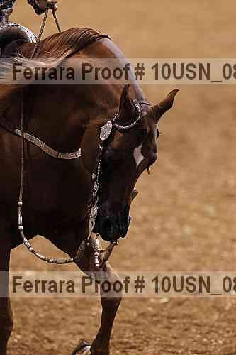 Proof Number 10usn_08758