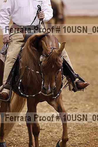 Proof Number 10usn_08759