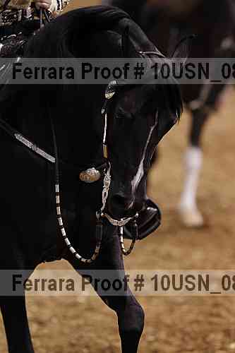 Proof Number 10usn_08762