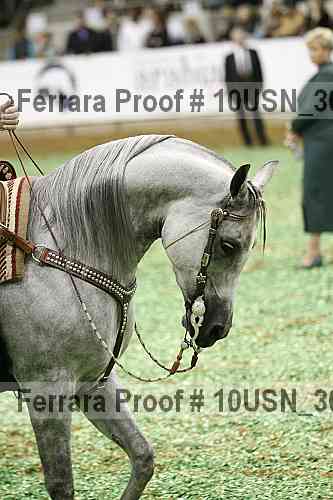 Proof Number 10usn_30266