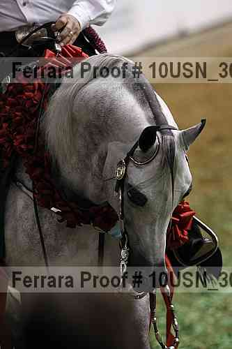 Proof Number 10usn_30387