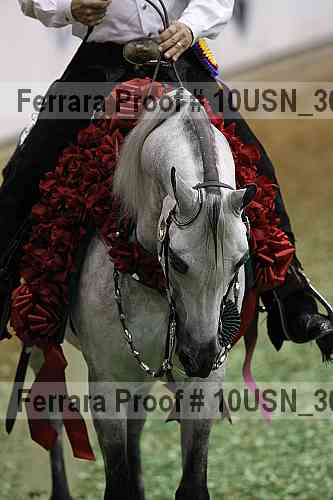 Proof Number 10usn_30454