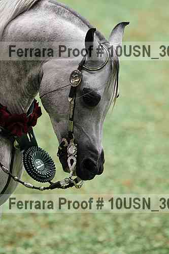 Proof Number 10usn_30456