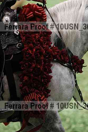 Proof Number 10usn_30458
