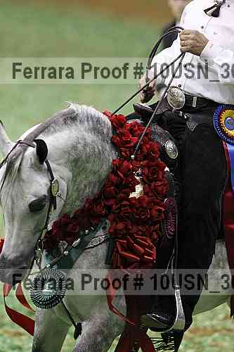 Proof Number 10usn_30460
