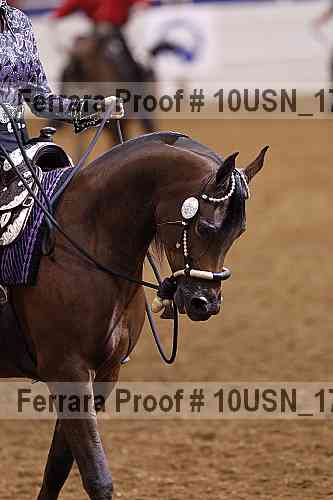 Proof Number 10usn_17326