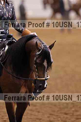Proof Number 10usn_17346