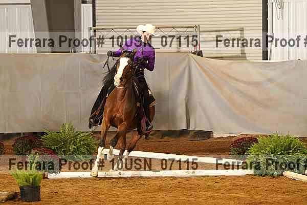 Proof Number 10usn_07115