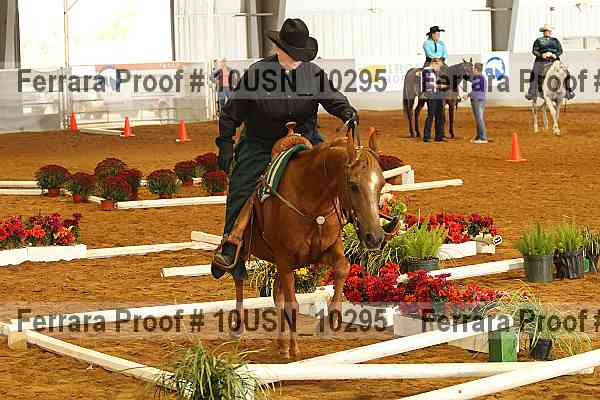 Proof Number 10usn_10295